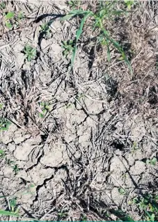  ??  ?? La première partie de l’été sera très sèche au Québec.