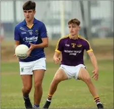  ??  ?? Wicklow’s Eoin O’ Neill gets away from Wexford’s Jason Bolger.