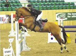  ??  ?? Emma-Jo Slater and Milestone Gold win the winter novice qualifier