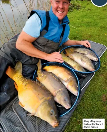  ??  ?? A bag of big carp that couldn’t resist Andy’s boilies