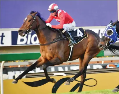  ?? Photograph­ics Picture: JC ?? READY TO WIN. Arapaho looks in good from and is expected to win Race 8 at the Vaal tomorrow.