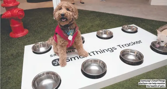  ?? ?? Samsung's SmartThing­s platform can help monitor the health of pets.