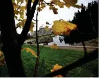  ?? FOTO: PAAL AUDESTAD ?? Skogen og Svarttjern er «torget» midt i Romsås.