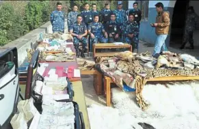  ?? ?? some of the wildlife parts seized from a vehicle en route from Kathmandu to rasuma in Nepal which is believed to be linked to dime. — Twitter/interpol