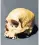  ??  ?? The skull of Havildar Alum Bheg, who is innocent of murder, says an academic