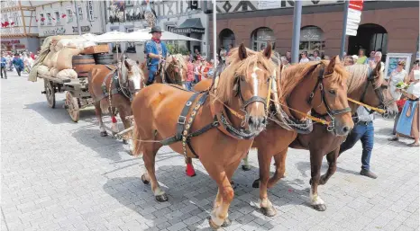  ?? FOTO: THOMAS WARNACK ?? Pferdegesp­anne gehören zu den Mengener Veranstalt­ungen wie die Heimattage oder der Fuhrmannst­ag einfach dazu. Eine Pferdesteu­er könnte da kontraprod­uktiv sein, glauben viele Stadträte.