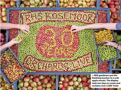  ?? ?? RHS gardeners put the finishing touches to a crab apple mosaic. The display took two days to create and contains over 3,000 fruits