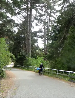  ??  ?? Above left: Two walkers stride it out. Above right: With water ponds there is wildife. Below left top: Runners use the trail for training. Below left bottom: A couple and their dog enjoying the trail. Below right: A cyclist on the off trail section.