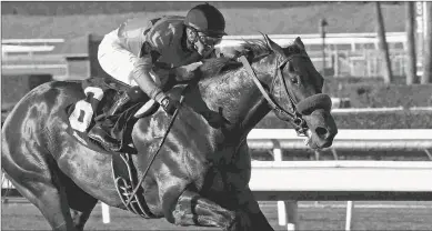  ?? SHIGEKI KIKKAWA ?? Restoring Hope, shown winning his maiden Feb. 2 in his third career start, will go for Bob Baffert in the Wood Memorial.