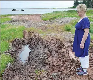 ?? ERIC MCCARTHY/TC MEDIA ?? Cascumpec resident Connie Gallant is upset with the damage heavy equipment has caused to a section of wetland along the Mill River beach near her home.