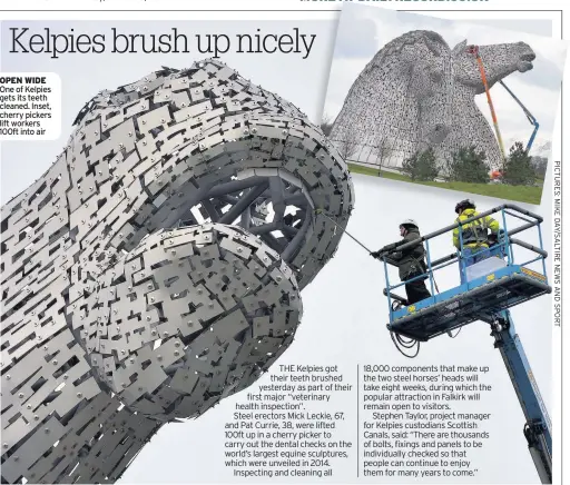  ??  ?? OPEN WIDE One of Kelpies gets its teeth cleaned. Inset, cherry pickers lift workers 100ft into air