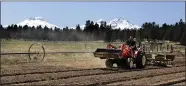  ??  ?? Trevor Eubanks, plant manager for Big Top Farms near Sisters, Oregon, works on his hemp crop. President Trump is expected to sign a bill to federally legalize hemp next week.