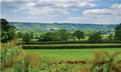  ?? ?? View of the South Downs over hedgerows and woodland in the Sussex countrysid­e. Photograph: Johan Siebke/Alamy