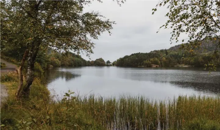  ??  ?? Storavatne­t ved Krohnegård­en i Fyllingsda­len. Vannet i det svært populære turområdet skal tappes ned syv meter fra januar 2022.