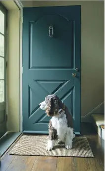  ?? P H O T O C O U RT E S Y O F B E NJA MI N MO O R E ?? Benjamin Moore’s Jack Pine green paint gives this door a warm, welcoming appearance.