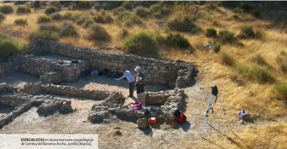  ??  ?? ESPECIALIS­TAS en las excavacion­es arqueológi­cas de Coimbra del Barranco Ancho, Jumilla (Murcia).