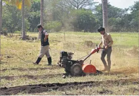  ??  ?? Insumos agrícolas. El Instituto Nacional Thomas Jefferson recibió insumos agrícolas como semilla de pipián, berenjena, cilantro, rábano, pepino, entre otras.