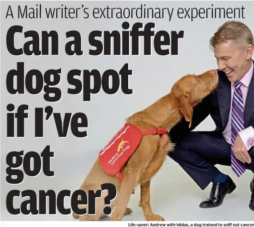  ??  ?? Life-saver: Andrew with Midas, a dog trained to sniff out cancer