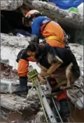  ?? EDUARDO VERDUGO, THE ASSOCIATED PRESS ?? A rescue dog is lifted to the site of a search and rescue operation in Mexico City Friday.