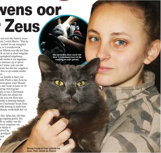  ?? Foto: Jannie du Plessis ?? Die verskrikte Zeus word hier deur ‘n brandweerm­an uit die voertuig se enjin gehaal.
Mandy Fourie en haar geliefde kat Zeus.
