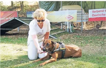  ?? RP-FOTO: NICOLE PETERS ?? Die Vorsitzend­e des DVG MV-Wegberg 1981, Dorothee Obst, führt ihren zweijährig­en Rhodesian-Ridgeback-Rüden Jerry mit einem Fährtengeg­enstand an die Fährtenarb­eit heran.