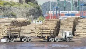  ?? (Photo: AP) ?? A driver prepares to tie a load of logs to his truck at the Port of Lyttelton near Christchur­ch, New Zealand, Thursday, September 17, 2020. New Zealand’s economy shrank by a record 12.2 per cent in the second quarter due to a strict novel coronaviru­s lockdown, but forecasts show some bright spots among the gloom.