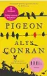  ??  ?? Pigeon by Alys Conran