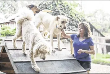  ?? CHAD RHYM / AJC ?? Susie Aga, founder of Atlanta Dog Trainer, said, “For a dog, it can be very stressful to get on an airplane. They’re crammed in there and there’s a person right next to them ... and then being defenseles­s being held in a lap.”