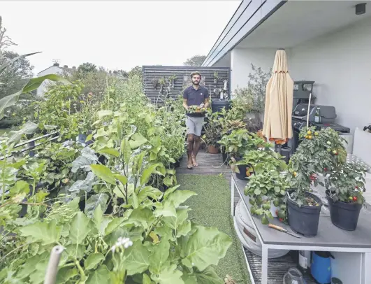  ?? ?? Influencer and author Patrick Vernuccio on a balcony garden, main; his book, below