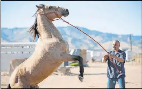  ??  ?? “The Mustang” was filmed at Nevada State Prison in Carson City.