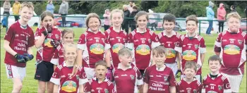  ??  ?? The Galtee Gaels U11 team that played Ballylande­rs at Ballylande­rs on Tuesday, June 22.