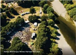  ??  ?? Aerial Wairarapa Wines Harvest Harvest