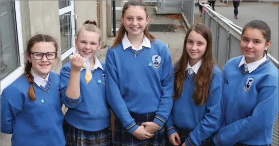  ??  ?? Sarah Halligan, Muir Faith Humphreys, Eryn Lee Thompson, Sinead Coley and Alex Atkinson from Colaiste na hInse at the STEM workshop.