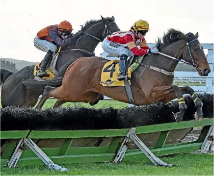  ?? RACE IMAGES ?? A clever hurdler, Just Ishi is showing promise in his new role as a steeplecha­ser.