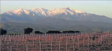  ??  ?? Le massif du Canigou au mois d’Avril. Les scientifiq­ues notent que « les stations des Pyrénées peuvent présenter des différence­s substantie­lles dans le niveau de sensibilit­é et de vulnérabil­ité au changement climatique » d’une vallée à l’autre, voire dans la même vallée.