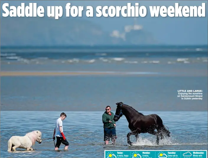  ??  ?? little and large: Enjoying the sunshine on Sandymount Strand in Dublin yesterday