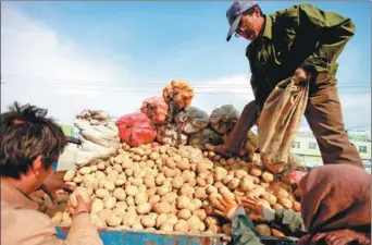  ?? DONG ZHIZHENG / FOR CHINA DAILY ?? Farmers load potatoes they harvested on a cart in Dingxi, Gansu province.