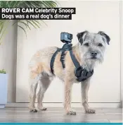  ??  ?? ROVER CAM Celebrity Snoop Dogs was a real dog’s dinner