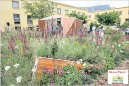  ??  ?? The South African Mint’s show garden, created by award-winning landscaper Leon Kluge, is inspired by origami.