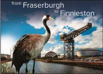  ??  ?? The Finnieston crane advert will be wrapped around a tram