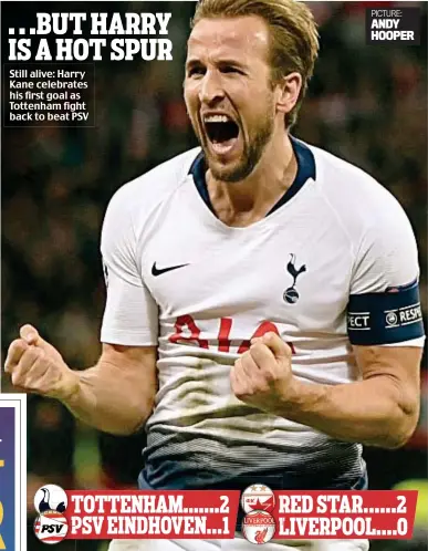  ?? PICTURE: ANDY HOOPER ?? . . .BUT HARRY IS A HOT SPUR Still alive: Harry Kane celebrates his first goal as Tottenham fight back to beat PSV