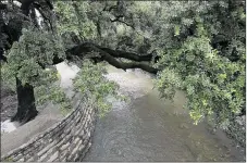  ?? PHOTOS BY RALPH BARRERA / AMERICAN-STATESMAN ?? Shoal Creek waters flow at a high rate after heavy rains inundate Austin. A Shoal Creek tunnel would probably be even larger than the $150 million Waller Creek Tunnel.