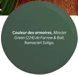  ??  ?? Couleur des armoires, Minster Green (224) de Farrow & Ball,
Ramacieri Soligo.