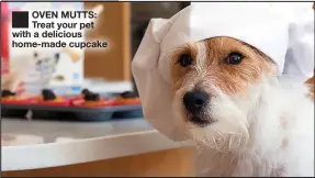  ??  ?? OVEN MUTTS: Treat your pet with a delicious home-made cupcake