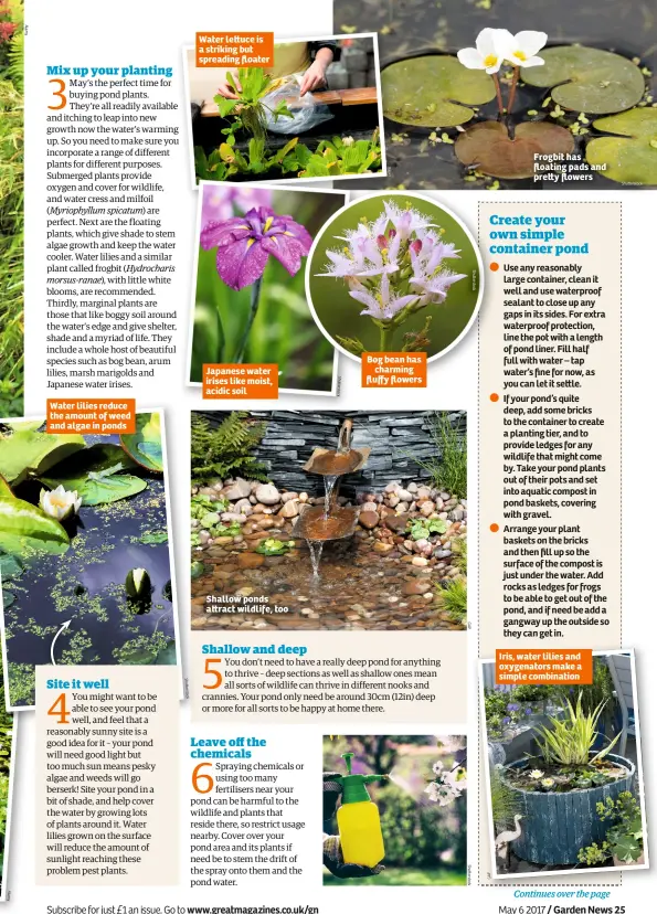  ??  ?? Water lilies reduce the amount of weed and algae in ponds Water le uce is a striking but spreading floater Japanese water irises like moist, acidic soil Shallow ponds a ract wildlife, too Bog bean has charming fluffy flowers Frogbit has floating pads...