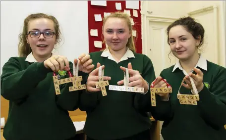  ??  ?? Abagail Rawson, Mikaela French and Amanda Byrne, 5th Year students at the St Mary’s school Christmas fair.