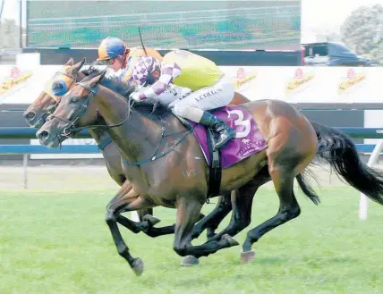  ?? Photo / Trish Dunell ?? Surely Sacred (outer) battles hard for victory in the group two Schweppes Avondale Guineas.