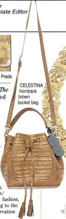 ?? ?? CELESTINA hornback brown bucket bag.