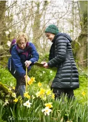  ??  ?? THIS PAGE Mary Johnson and Marlene Harris are volunteers for the Heralds of Spring project, joining forces once a week to identify rare species of daffodils in the Tamar Valley OPPOSITE Artist Kathy Lovell creates jewellery inspired by the area’s rich floral heritage