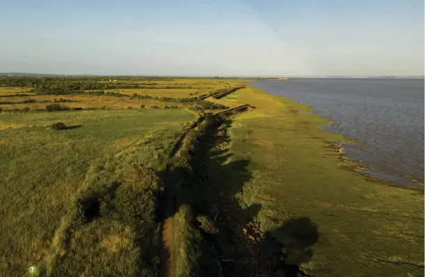  ??  ?? 7
7 Seawalls here were first built by the Romans; today’s walls run for 22 miles 8 The curve-billed curlew 9 Pylons and pools at Newport Wetlands